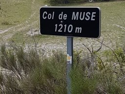 buis_les_baronnies21